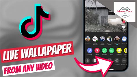 Use Tik Tok Videos As A Live Wallpaper For Your Iphone How To Set
