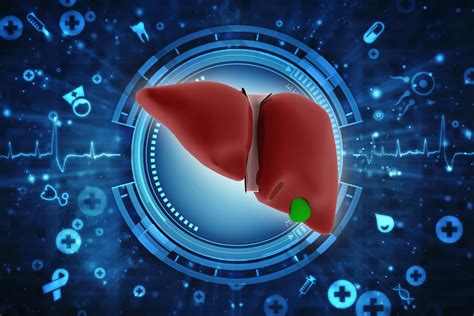 All About Liver Function Tests Apollo Hospitals Blog
