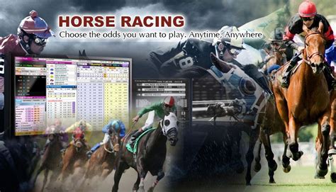 Horse racing is the main betting soul for the citibet malaysia to bet for. citibet