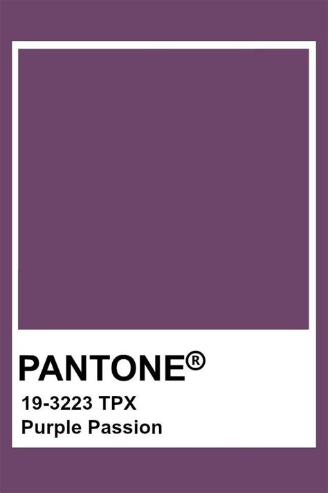 Pantone Purple Passion Kleurenpalet Kleurencombinaties Kleuren