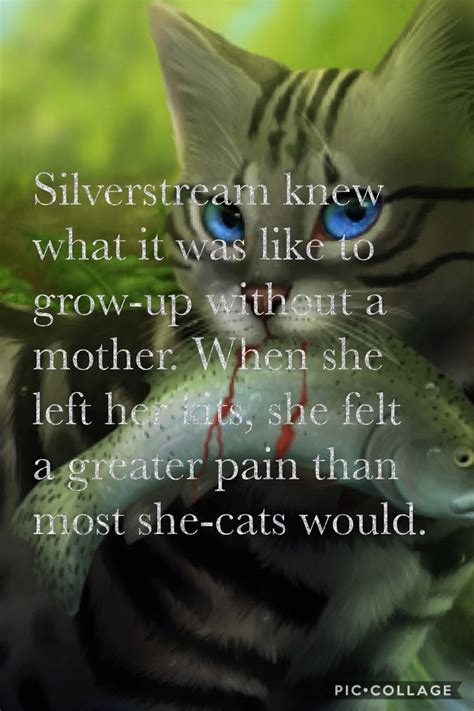 Silverstream Was Always A Favorite When She Died It Was Awful Warrior Cats Funny Warrior