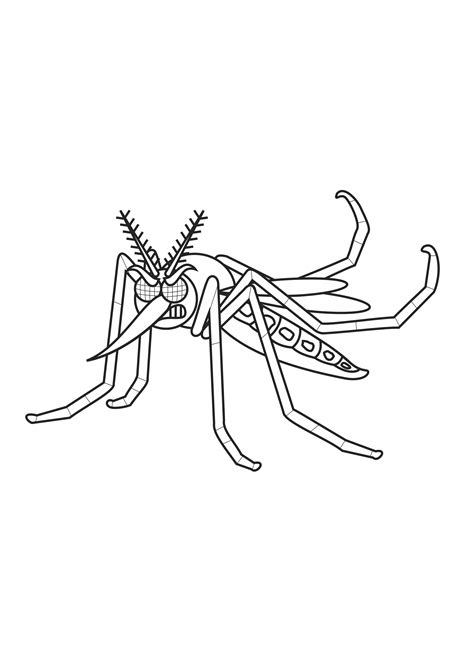 37 Desenhos De Mosquito Para Imprimir E Colorirpintar Em 2022 Porn