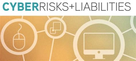 Cyber Risk And Liabilities New Dsp