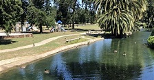 Visit Mooney Grove Park Near Visalia, CA
