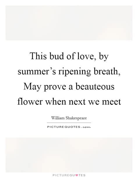 Summer Flower Quotes And Sayings Summer Flower Picture Quotes