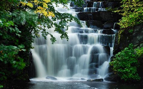 Download Wallpaper 2560x1600 Waterfalls Cascades Water Trees