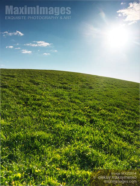 Photo Of Sunny Grassland Landscape Under Blue Sky Stock Image Mxi22814