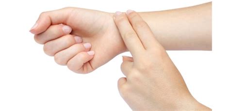 Hidra, mestefe'nin yayınında olanları şöyle anlatıyor: Nabız Nedir? Nasıl Ölçülür?