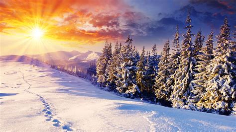 Winter Wallpapers Best Backgrounds