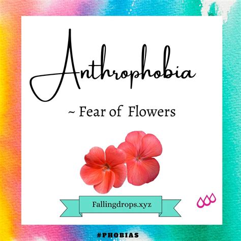 Fear Of Flowers In 2022 Phobia Words Phobias Fear