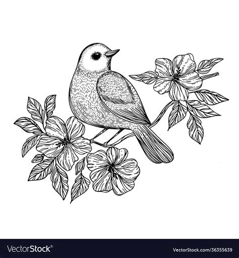 Nightingale Songbird On A Branch Set Royalty Free Vector