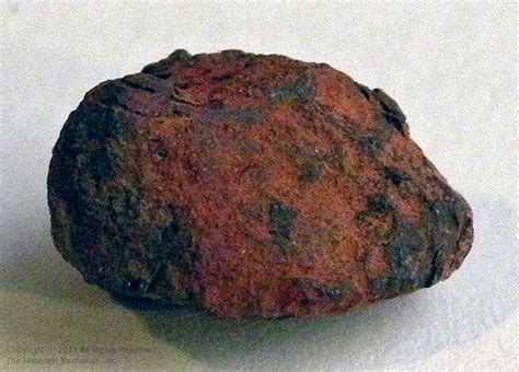 Meteorites are believed to originate in the asteroid belt between the planets of mars and jupiter. Iron Meteorites