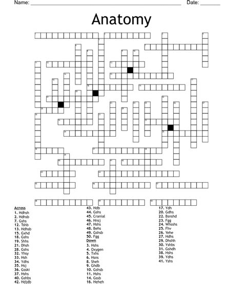 Anatomy Crossword Puzzles Printable