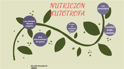 Nutrición Autótrofa By Quinto Año Escuela 12 On Prezi