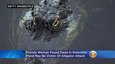Woman Found Dead In Pond At Florida Restaurant On Independence Day Believed To Be Victim Of