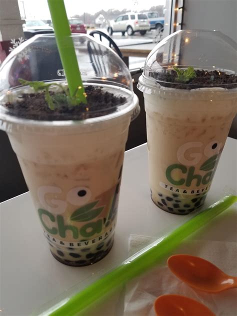 I Ate Wintermelon Potted Plant Boba Tea Rfood