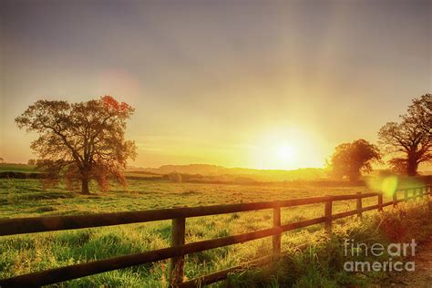 Rural Sunrise Over Fenced Field Photograph By Simon Bratt Photography Lrps