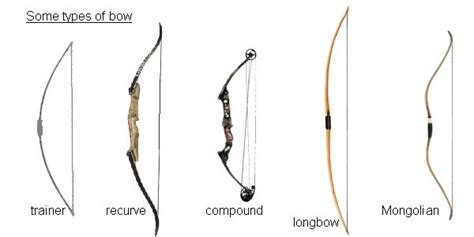 Some Different Types Of Archery Bows Trainer Recurve Compound