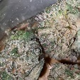 Strain Review: Ice Cream Man by SF Cultivators - The Highest Critic