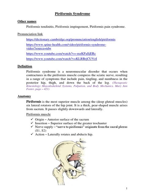 Piriformis Syndrome Pdf Pdf Musculoskeletal System Human Anatomy
