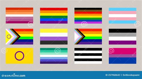 Banderas De Orgullo De Identidad Sexual Fijadas Como S Mbolos Lgbt