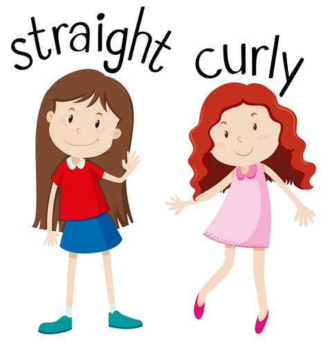 Opposite Wordcard For Straight And Curly 455448 Vector Art At Vecteezy