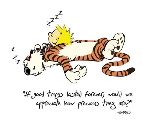 6 Calvin And Hobbes Funny Quotes Satire