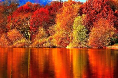 Fall Wallpaper Hd ·① Download Free Wallpapers For Desktop