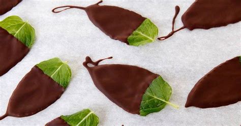 Chocolate Mint Herb Leaves Recipes Yummly