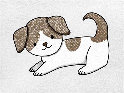 How To Draw A Puppy Step By Step