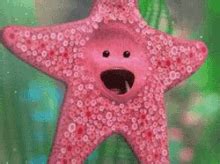 21+ starfish gif.check spelling or type a new query. Starfish GIFs | Tenor