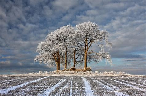 Jack Frost Bites At Landscape Photographer Of The Year