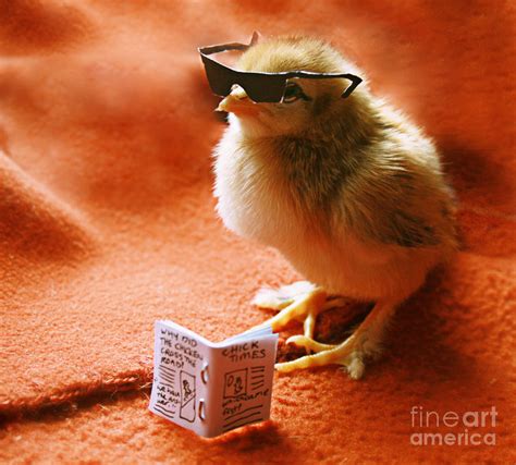 Cool Chick Photograph By Natasha Said Pixels