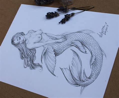 Naked Mermaid Fine Art Print Nude Woman Graphite Pencil Etsy