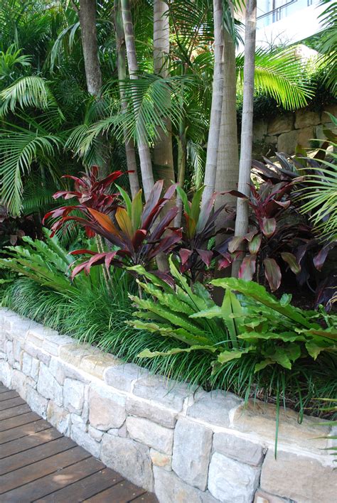 Tropical Yard Plants For 2023