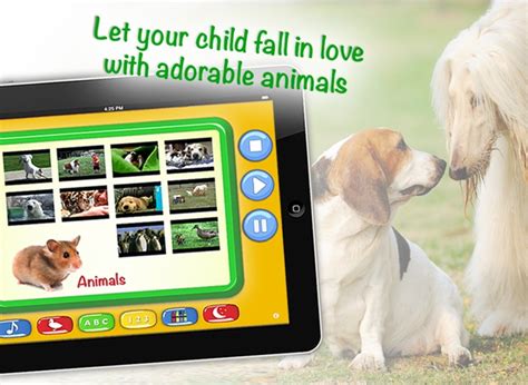 Zoola Kids Videos Hd Educational Videos For Kids On The App Store