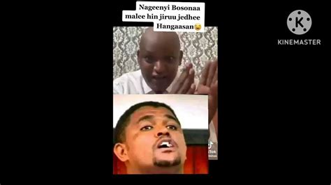 Afaan Oromoo Fi Jechoota Dinqisiiso Afaan Oromoo Youtube