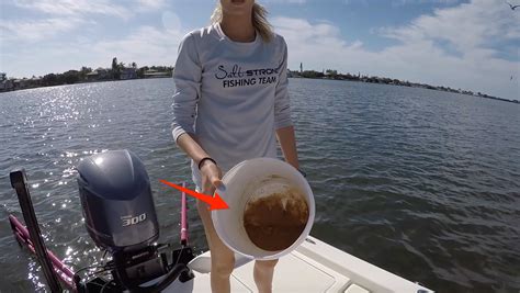A chumbox, a form of online advertising. Chumming Tips: How To Make The Best Saltwater Fish Chum
