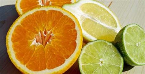 Types Of Citrus Fruits With Their Picture And Classification