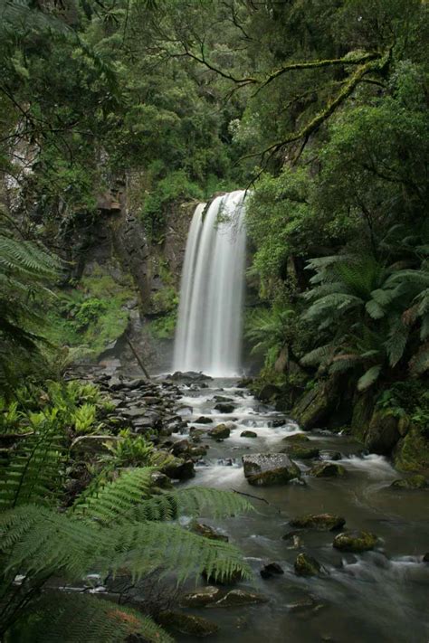 Hopetoun Falls Classic Plunge Waterfall In The Otways