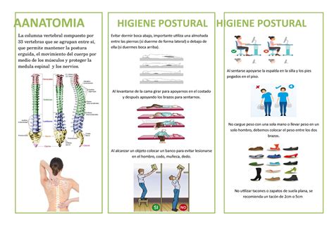 Higiene Postural Y Pausas Activas Higiene Postural Posturas Images