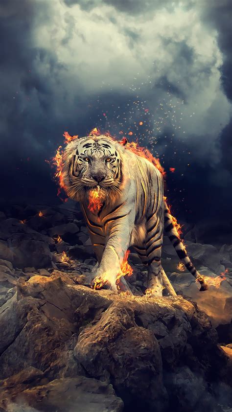 Wallpaper White Tiger Fire Cgi Hd Creative Graphics