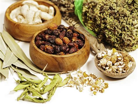 Ayurveda En Estados Unidos EE UU Escuela De Ayurveda De CA