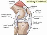 Pictures of Back Of Knee Tendon Pain Treatment