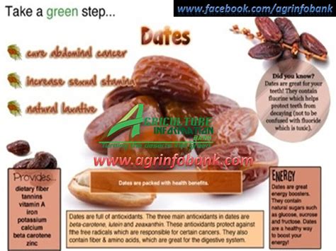 Health Benefits Of Dates Agriculture Information Bank