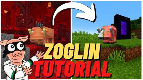 How To Get A Hoglin Into The Overworld Zoglin Tutorial Minecraft 118