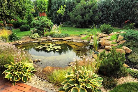 Rippling Garden Pond Ideas For 2022 Checkatrade