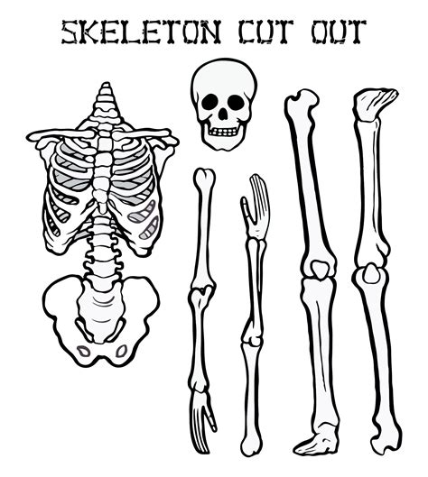 Printable Skeleton Pattern