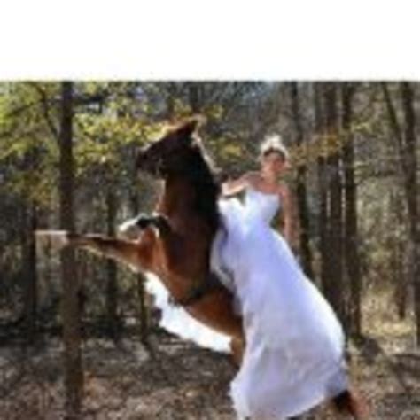 Our lawyers have strong working relationships with a broad array of european and us companies, financial institutions, international. Iliane Lorenz - Trainer - Horse Boy Method | XING