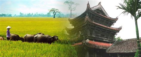 Lưu ý các bạn không nên nhấp vào các đường link ở phần bình luận, kẻ gian có thể đưa virut vào thiết bị hoặc hack mất facebook của các bạn. Top 10 Làng nghề ở Thái Bình - Toplist.vn
